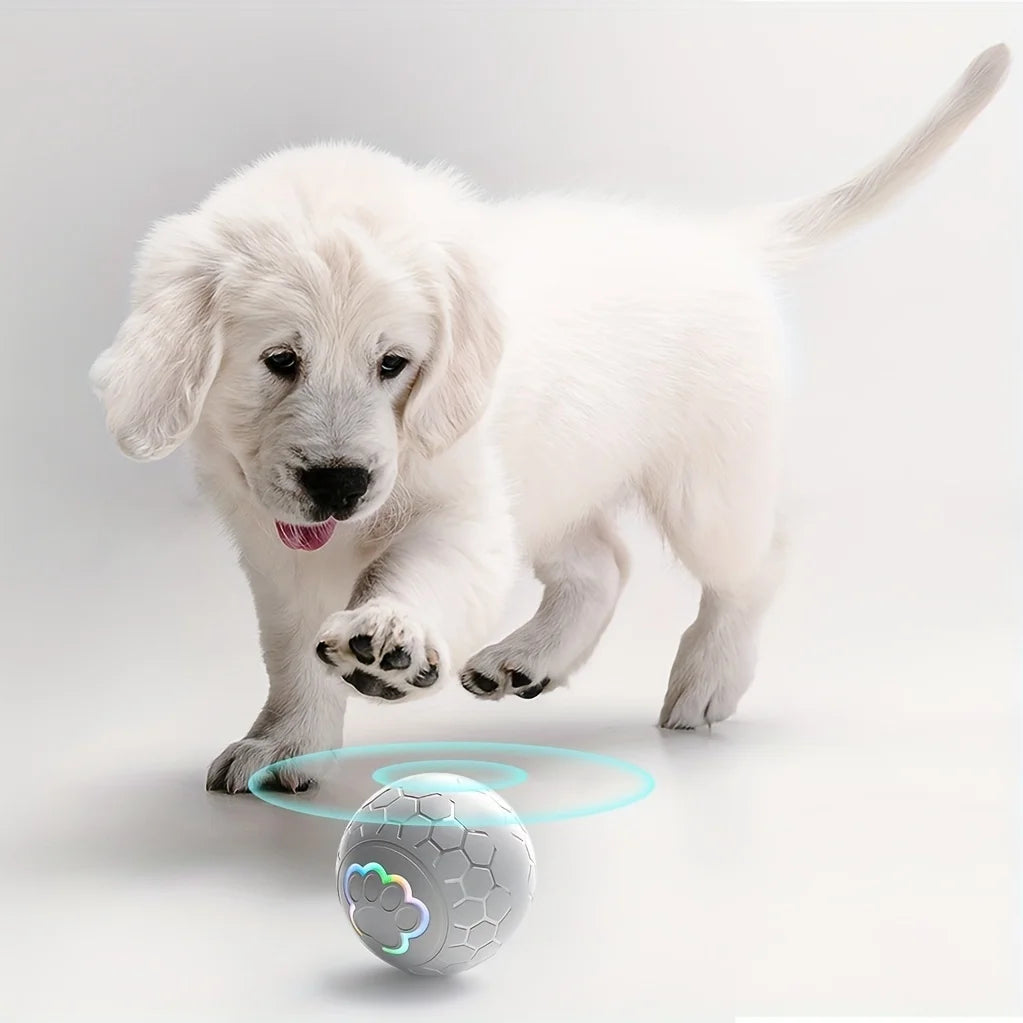 Smart Interactive Pet Toy Ball – USB Rechargeable Automatic Rolling Ball with RGB Lights