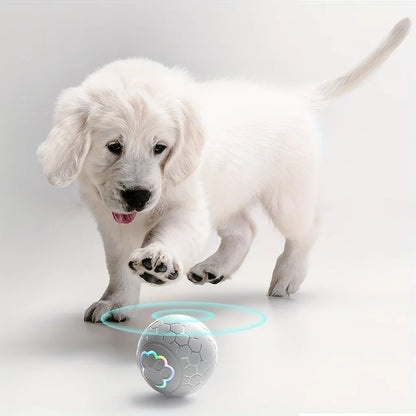 Smart Interactive Pet Toy Ball – USB Rechargeable Automatic Rolling Ball with RGB Lights