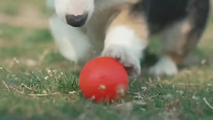 Smart Interactive Pet Toy Ball – USB Rechargeable Automatic Rolling Ball with RGB Lights